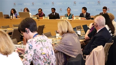 L'OMC revisionerà i crediti d'imposta statunitensi ai sensi della legge sulla...