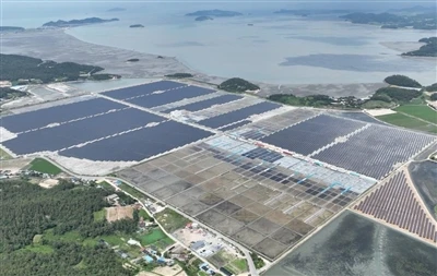 Progetto solare Esmeralda Seven: gli Stati Uniti revocano l'approvazione del ...