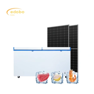 Congelatore solare DC di grande capacità, congelatore, assicurazione, uso domestico