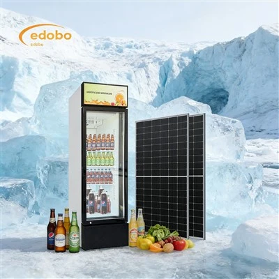 Congelatore per vino con porta in vetro per congelatore per bevande ad energia solare AC/DC